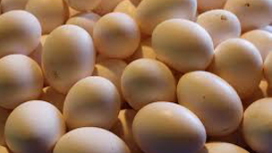 eggs